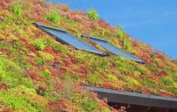 Bakewell living roof systems